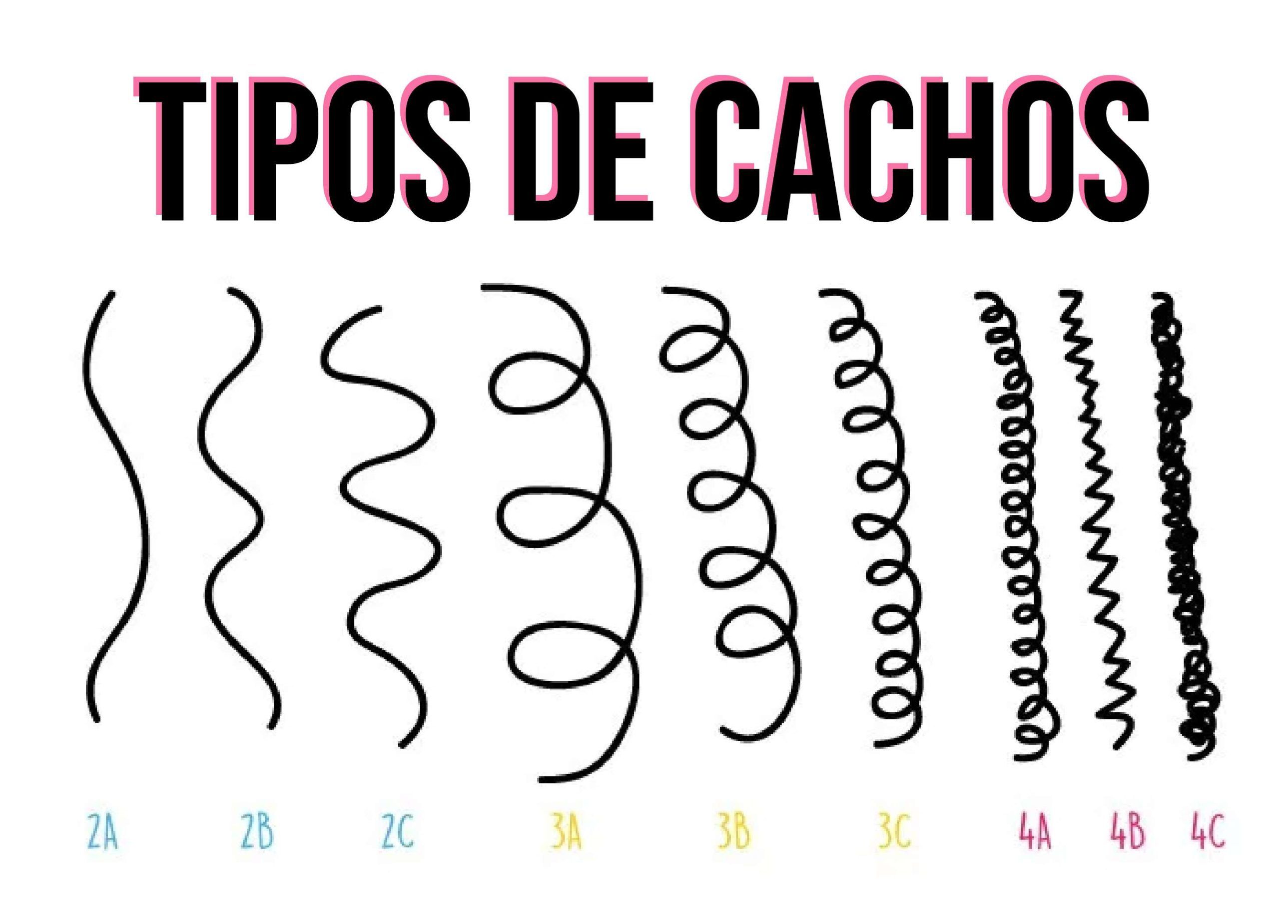 TIPOS-DE-CACHOS